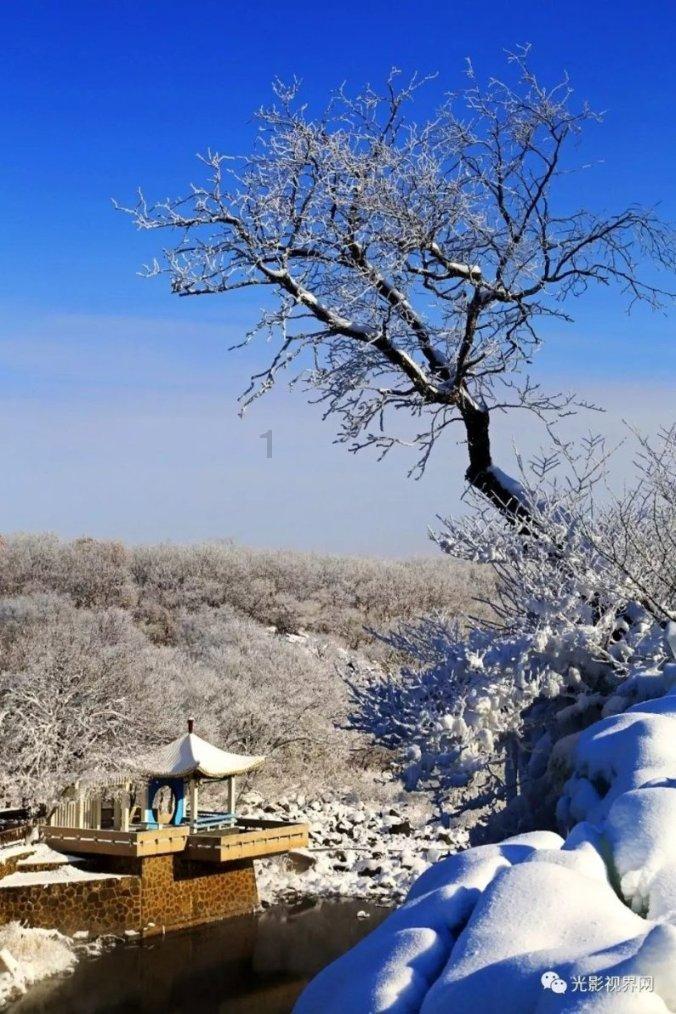 乌克兰上校徒步六百公里，干掉三架俄轰炸机？